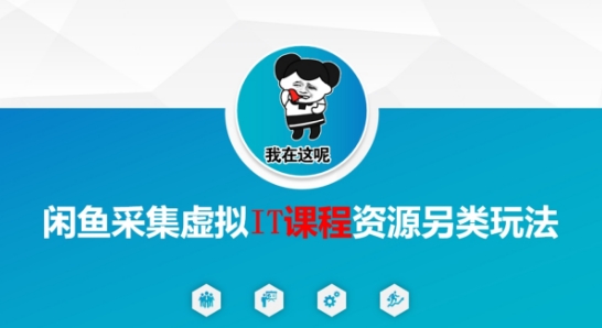 闲鱼采集虚拟IT课程资源另类玩法，干货满满-3YVIP资源库