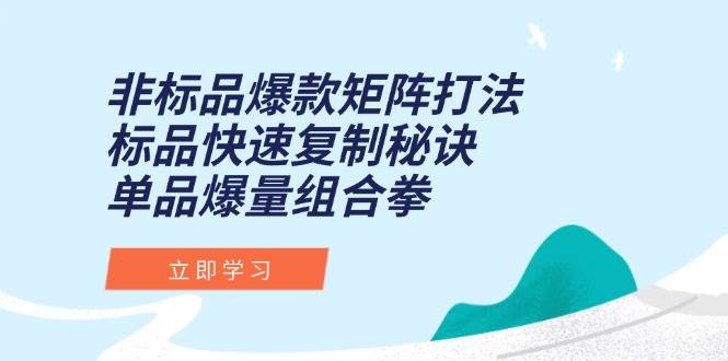 （15068期）非标品爆款矩阵打法，标品快速复制秘诀，单品爆量组合拳-3YVIP资源库