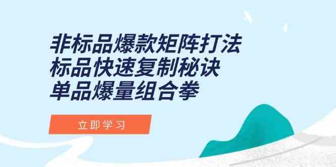 非标品爆款矩阵打法，标品快速复制秘诀，单品爆量组合拳-3YVIP资源库