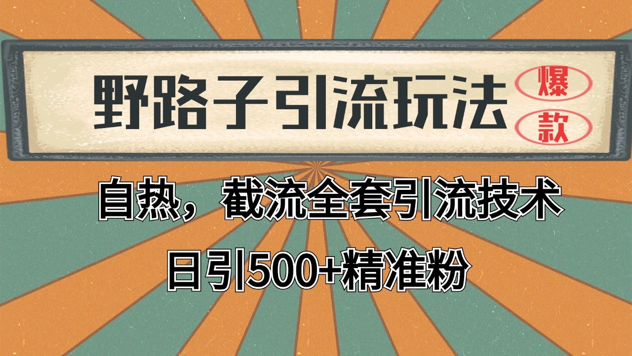 2024首发野路子引流玩法截流自热全平台打法，全自动引流【日引2000+精准客户】-3YVIP资源库