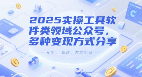 2025实操工具软件类领域公众号，多种变现方式分享-3YVIP资源库