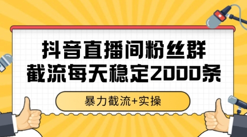 抖音直播间粉丝群暴力截流，一台电脑每天稳定2000条数据【揭秘】-3YVIP资源库