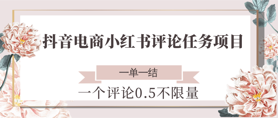 抖音电商小红书评论任务项目，一个评论0.5，一单一结 不限量-3YVIP资源库
