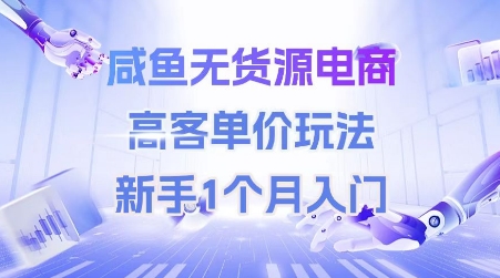咸鱼无货源电商，高客单价玩法，新手1个月入门-3YVIP资源库
