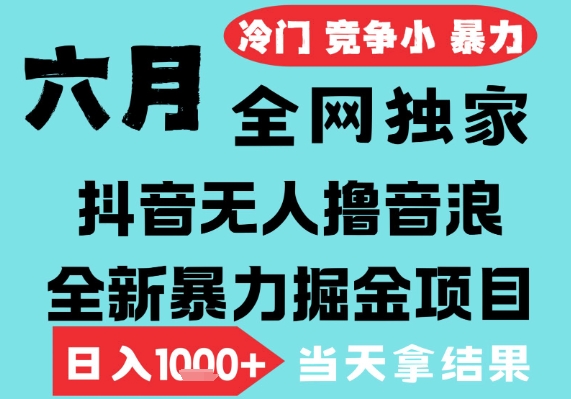 2025年6月高爆抖音无人直播最新撸音浪掘金项目，无脑日入1k+，低门槛小白可做，可矩阵放大【揭秘】-3YVIP资源库