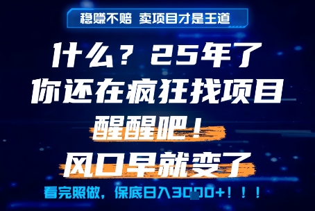 什么？25年你还在疯狂找项目做，醒醒吧，看完这些你全都懂了！【揭秘】-3YVIP资源库
