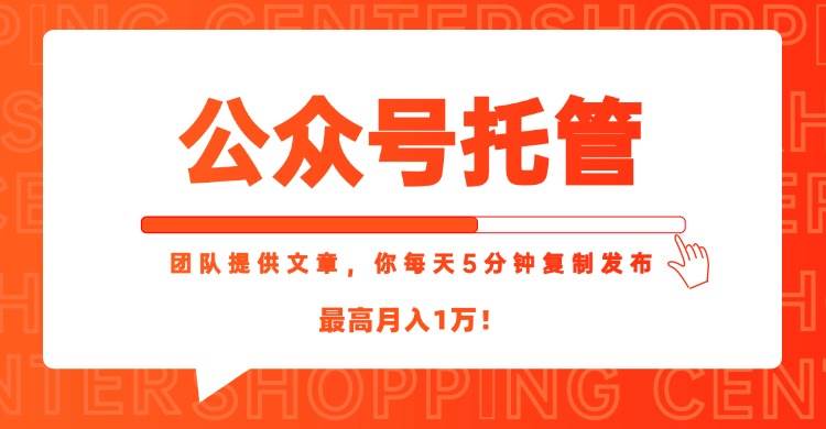（15109期）【公众号托管 】我提供文章，你每天５分钟复制发布，最高月入1W-3YVIP资源库