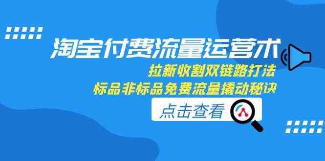 淘宝付费流量运营术，拉新收割双链路打法，标品非标品免费流量撬动秘诀-3YVIP资源库
