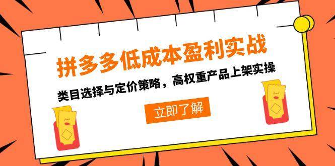 （15143期）拼多多低成本盈利实战，类目选择与定价策略，高权重产品上架实操-3YVIP资源库