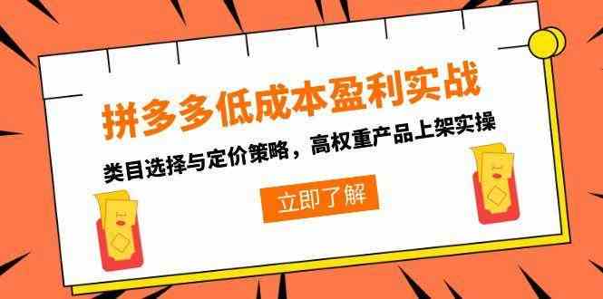 拼多多低成本盈利实战，类目选择与定价策略，高权重产品上架实操-3YVIP资源库