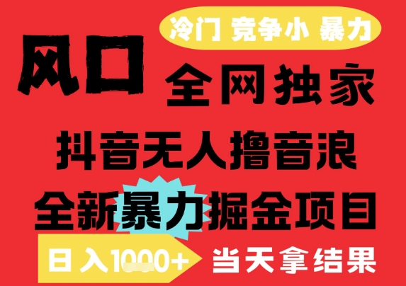 25年6月高爆抖音无人直播最新撸音浪掘金项目，解放双手小白可做，无脑日入1k+，门槛低【揭秘】-3YVIP资源库