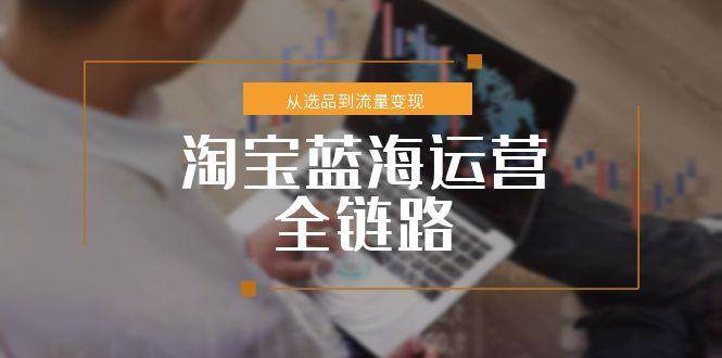 （15160期）淘宝蓝海运营全链路，从选品到流量变现，小类目突围完整方案-3YVIP资源库