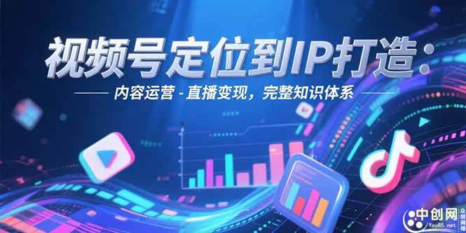 （15173期）视频号定位到IP打造：账号搭建-内容运营-直播变现，完整知识体系-3YVIP资源库
