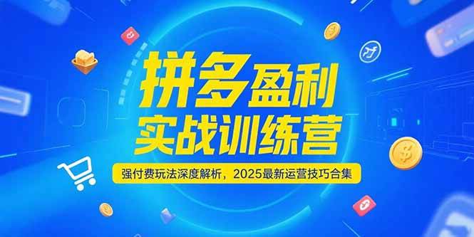 （15183期）拼多多盈利实战训练营，强付费玩法深度解析，2025最新运营技巧合集-3YVIP资源库