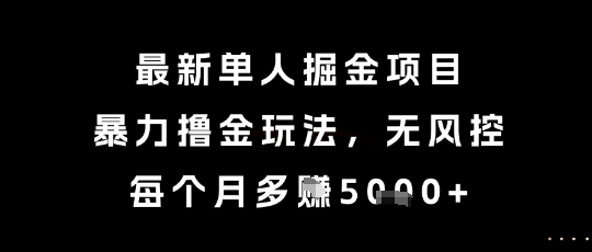最新单人掘金项目，暴力撸金玩法，无风控，每个月多挣5k+【揭秘】-3YVIP资源库