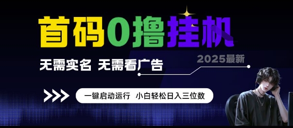 首码0撸挂G项目，无需实名无需看广告 一键启动运行，小白轻松日入三位数【揭秘】-3YVIP资源库