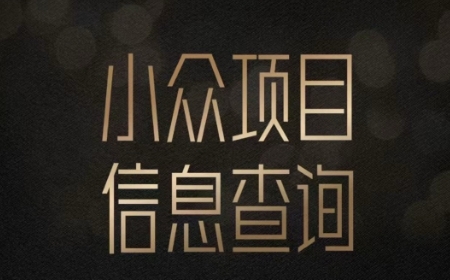 小众蓝海项目情感查询，女粉暴力掘金，轻松日入500+【揭秘】-3YVIP资源库
