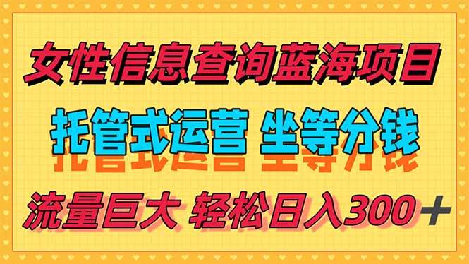 （15216期）稳定日入300＋，小众信息查询蓝海项目，全程懒人式托管，解放你的时间-3YVIP资源库