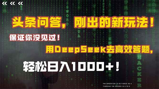（15217期）头条问答，刚出的新玩法！保证你没见过！结合Deepseek高效答题，日入1000+-3YVIP资源库