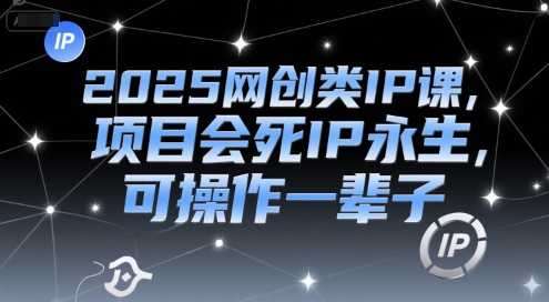 2025网创类IP课，项目会死IP永生，可操作一辈子-3YVIP资源库