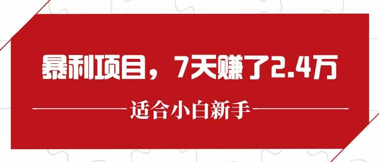 （15228期）最新暴利项目，每单收益轻松在300以上，7天赚了2.4万-3YVIP资源库