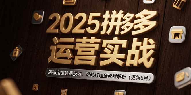 （15235期）2025拼多多运营实战：店铺定位选品技巧，爆款打造全流程解析（更新6月）-3YVIP资源库
