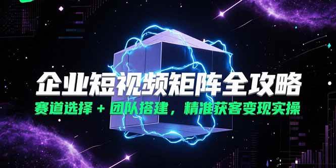 （15242期）企业短视频矩阵全攻略，赛道选择+团队搭建，精准获客变现实操-3YVIP资源库