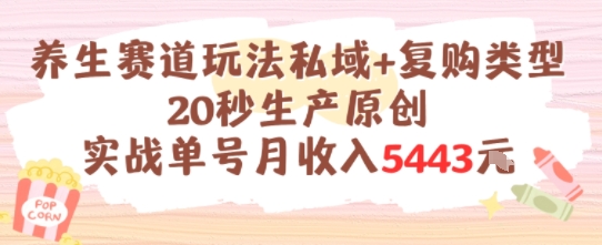 养生赛道玩法私域+复购类型，20秒生产原创实战单号月收入5k+-3YVIP资源库