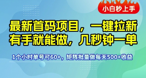 最新首码项目，一键拉新有手就能做，几秒钟一单，1个小时单号可60+，矩阵批量做每天5张【揭秘】-3YVIP资源库