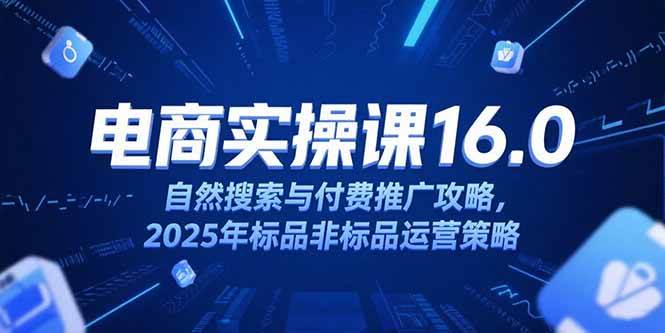 （15262期）淘宝电商运营课16.0，自然搜索与付费推广攻略，2025年标品非标品运营策略-3YVIP资源库