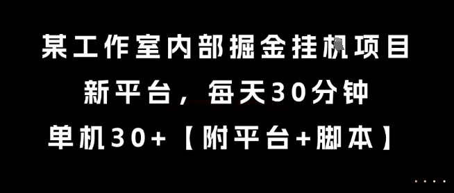某工作室内部掘金挂G项目，新平台，每天30分钟，单机30+【揭秘】-3YVIP资源库