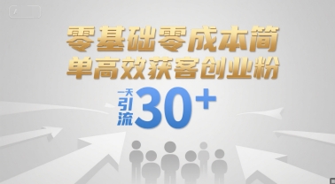 零基础零成本简单高效获客创业粉，一天引流30+-3YVIP资源库