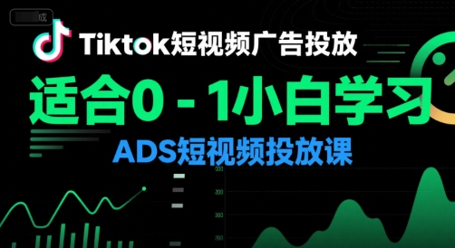 Tiktok短视频广告投放，适合0-1小白学习ADS短视频投放课-3YVIP资源库
