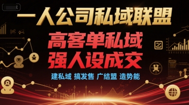 一人公司私域联盟，高客单私域，强人设成交，建私域 搞发售 广结盟 造势能-3YVIP资源库