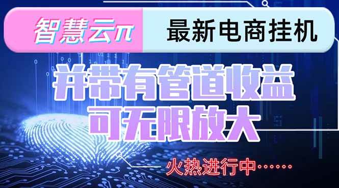 （15314期）智慧云π电脑挂机单机每天收益300—500+ 并带有团队管道收益 可无限放大-3YVIP资源库