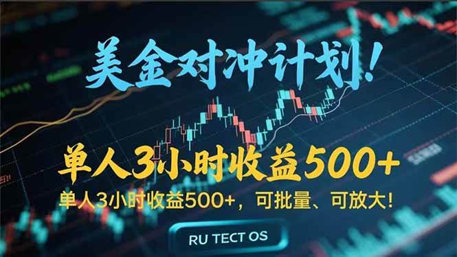 （15321期）长久稳定的撸美金项目，平均3小时收入 500+，可公司实地考察实地操作！-3YVIP资源库