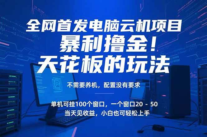 （15323期）电脑云机项目 暴力撸金玩法，不需要养机 配置没有要求 单机100个窗口一…-3YVIP资源库