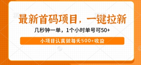 最新首码项目，操作最简单，收益高，一键拉新，1个小时单号可50+，小项目认真做每天5张+收益【揭秘】-3YVIP资源库
