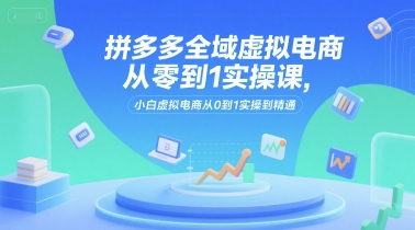 拼多多全域虚拟电商从零到1实操课，小白虚拟电商从0到1实操到精通-3YVIP资源库