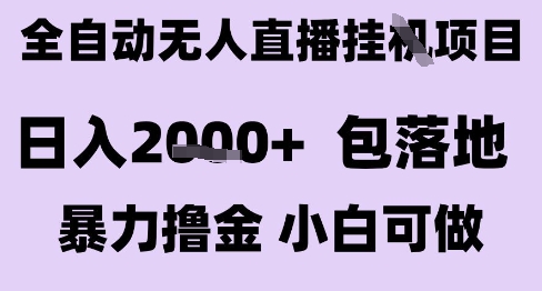 最新全自动抖音无人直播挂G项目，日入2k+ 包落地暴力撸金，小白可做【揭秘】-3YVIP资源库