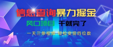 信息查询暴力掘金，一天三条视频，轻松变现四位数，风口项目干就完了【揭秘】-3YVIP资源库
