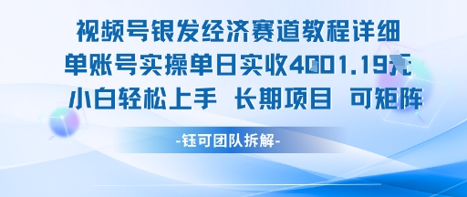 视频号银发经济赛道单账号实操单日实收1k+，小白轻松上手长期项目-3YVIP资源库