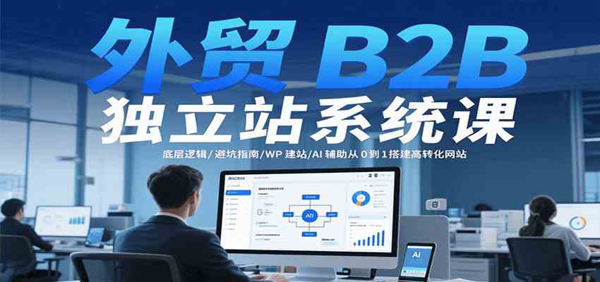 外贸B2B独立站系统课：底层逻辑/避坑指南/WP建站/AI辅助从0到1搭建高转化网站-3YVIP资源库