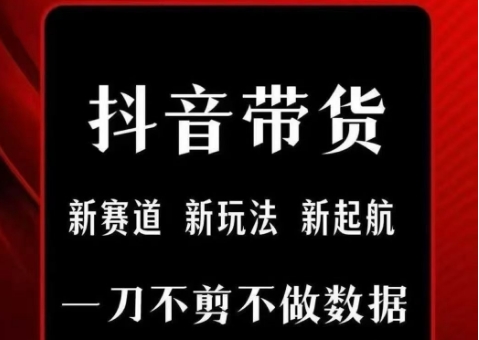抖音短视频一刀不剪带货，不剪辑，不直播，每天发个视频，等着出单获取带货佣金-3YVIP资源库