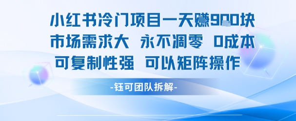 小红书冷门项目一天收益9张，市场需求大，0成本，可复制性强可以矩阵操作-3YVIP资源库