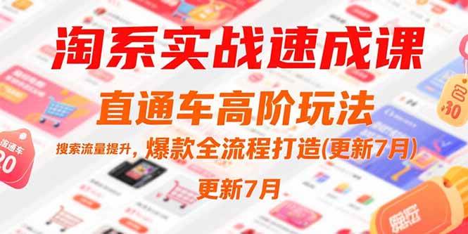 （15374期）淘系实战速成课，直通车高阶玩法，搜索流量提升，爆款全流程打造(更新7月)-3YVIP资源库