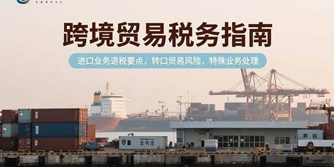 （15381期）跨境贸易税务指南，进口业务退税要点，转口贸易风险，特殊业务处理-3YVIP资源库