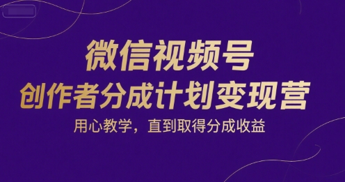 微信视频号创作者分成计划变现营，用心教学，直到取得分成收益-3YVIP资源库