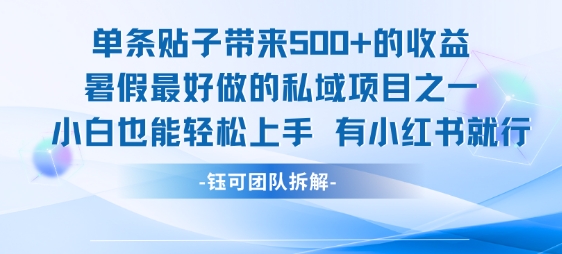 单条贴子带来5张的收益，暑假最好做的私域项目之一，小白也能轻松上手，有小红书就行-3YVIP资源库