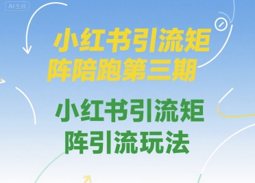 小红书引流矩阵陪跑第三期，小红书引流矩阵引流玩法-3YVIP资源库